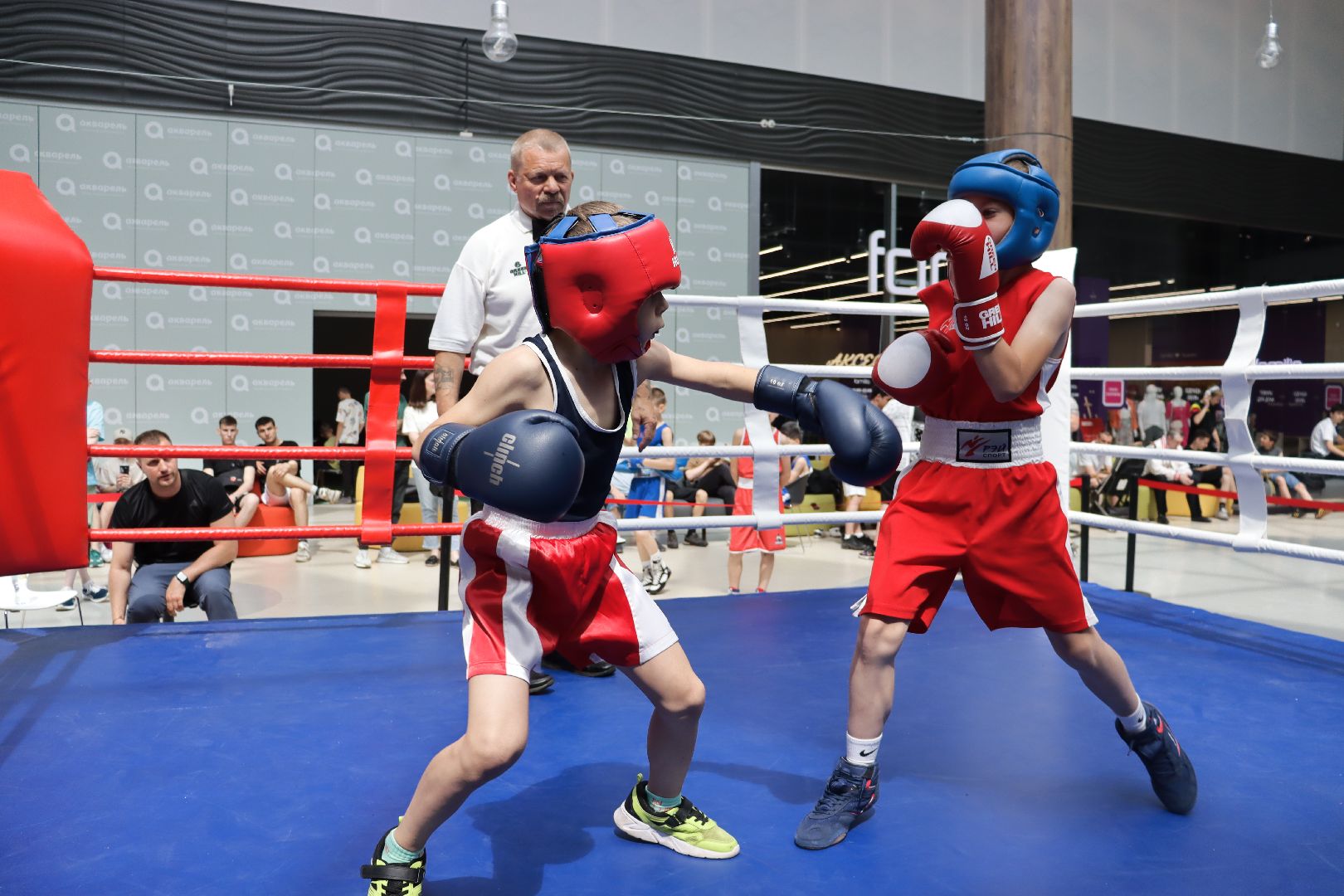 пушкино, бокс, турнир, спорт, соревнование,