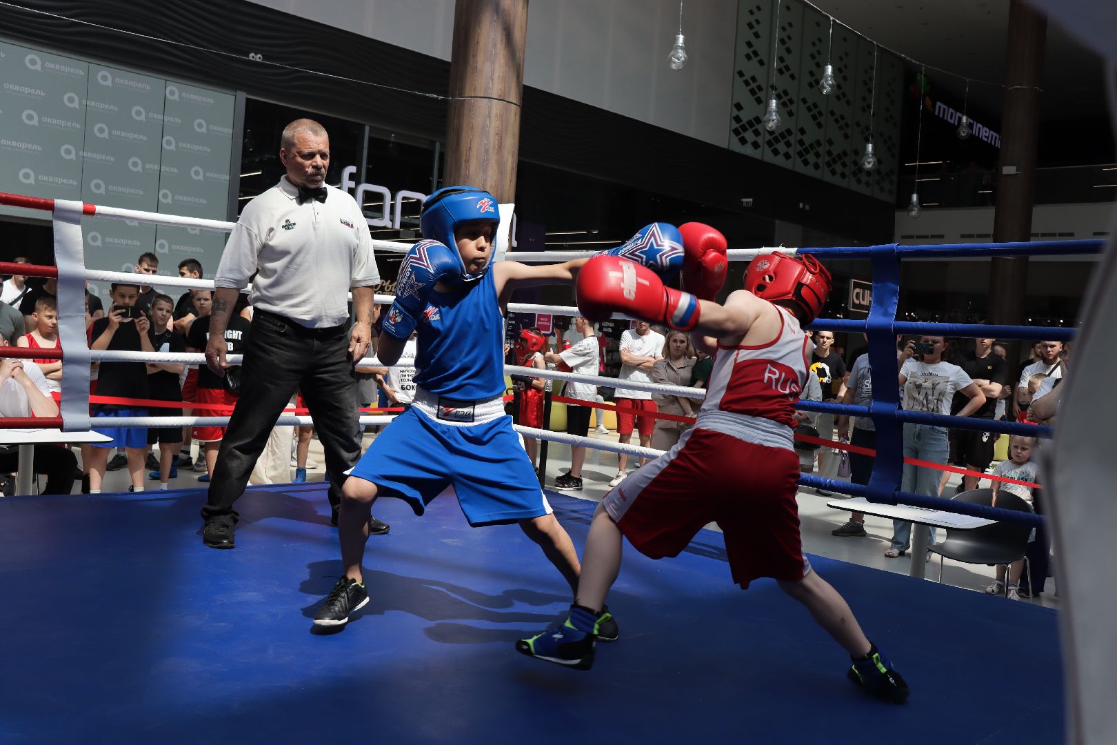 пушкино, бокс, турнир, спорт, соревнование,