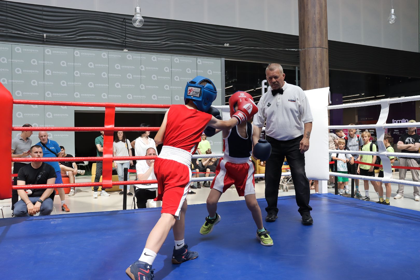 пушкино, бокс, турнир, спорт, соревнование,