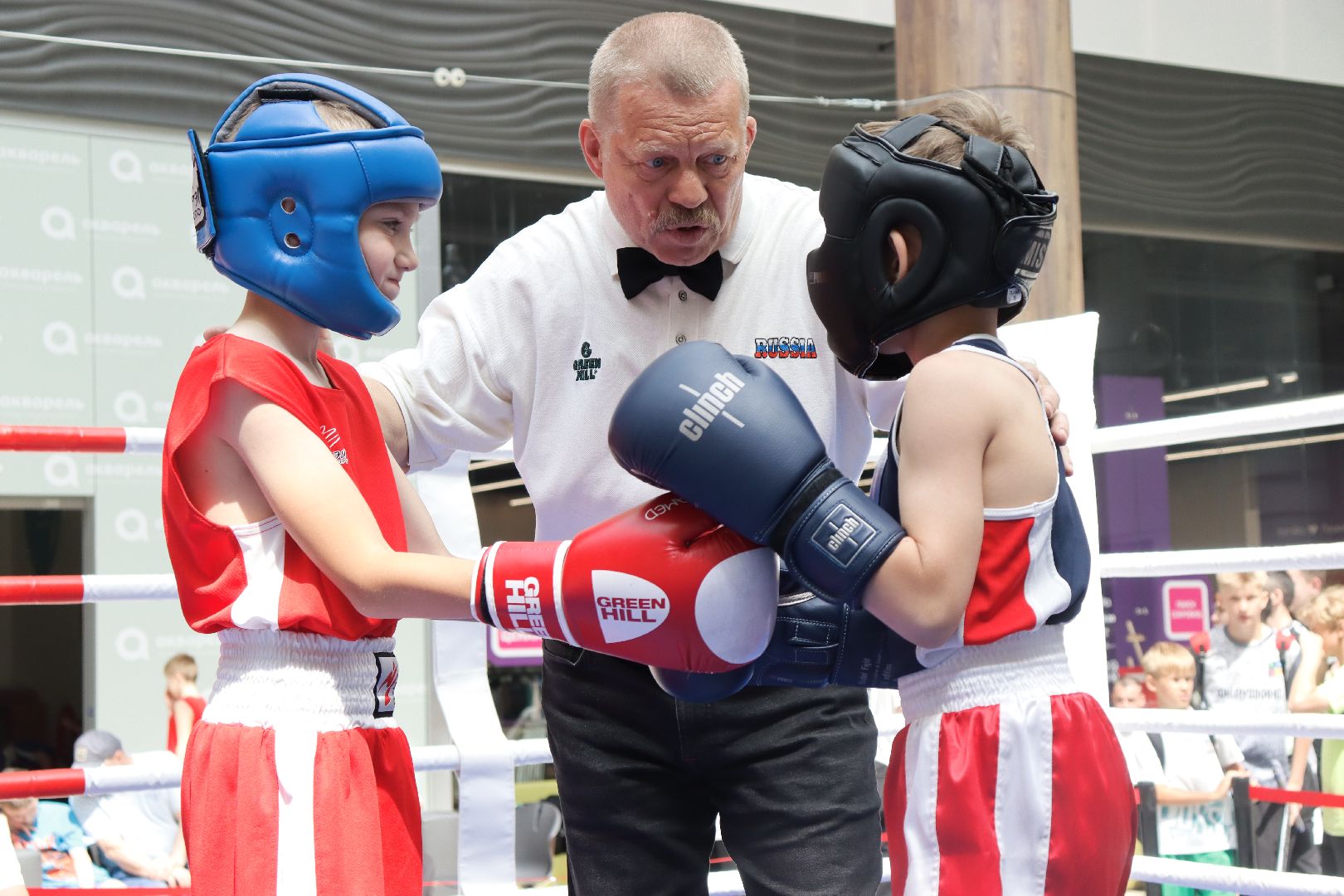 пушкино, бокс, турнир, спорт, соревнование,