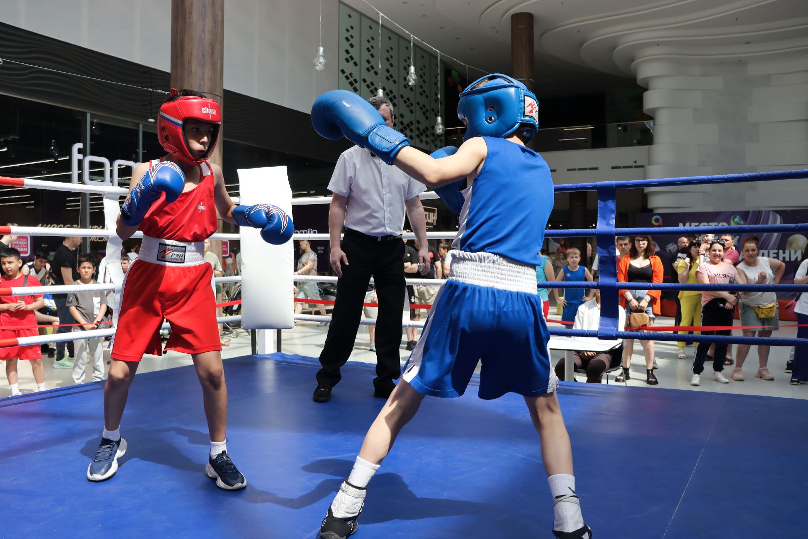 пушкино, бокс, турнир, спорт, соревнование,