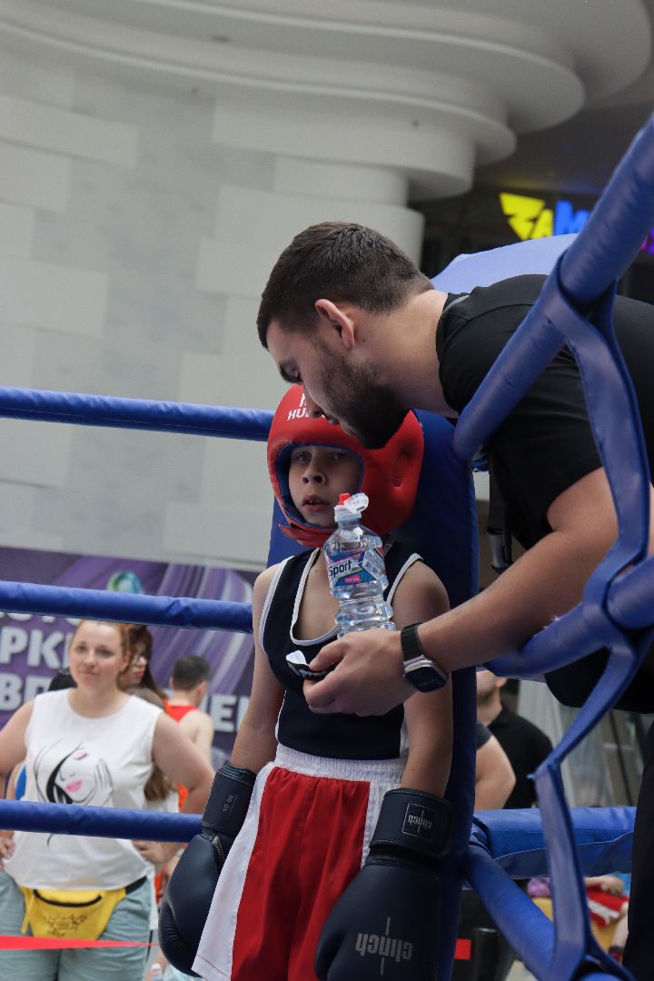 пушкино, бокс, турнир, спорт, соревнование,