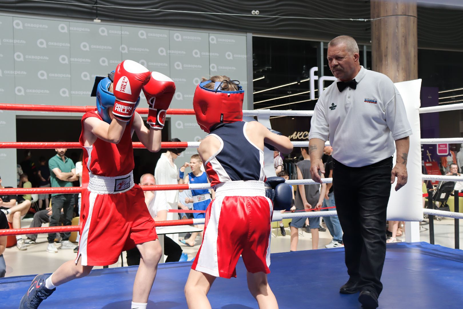 пушкино, бокс, турнир, спорт, соревнование,