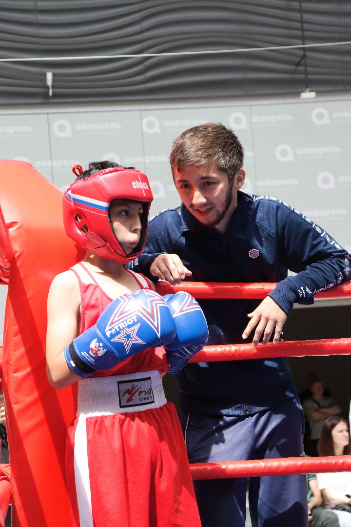 пушкино, бокс, турнир, спорт, соревнование,