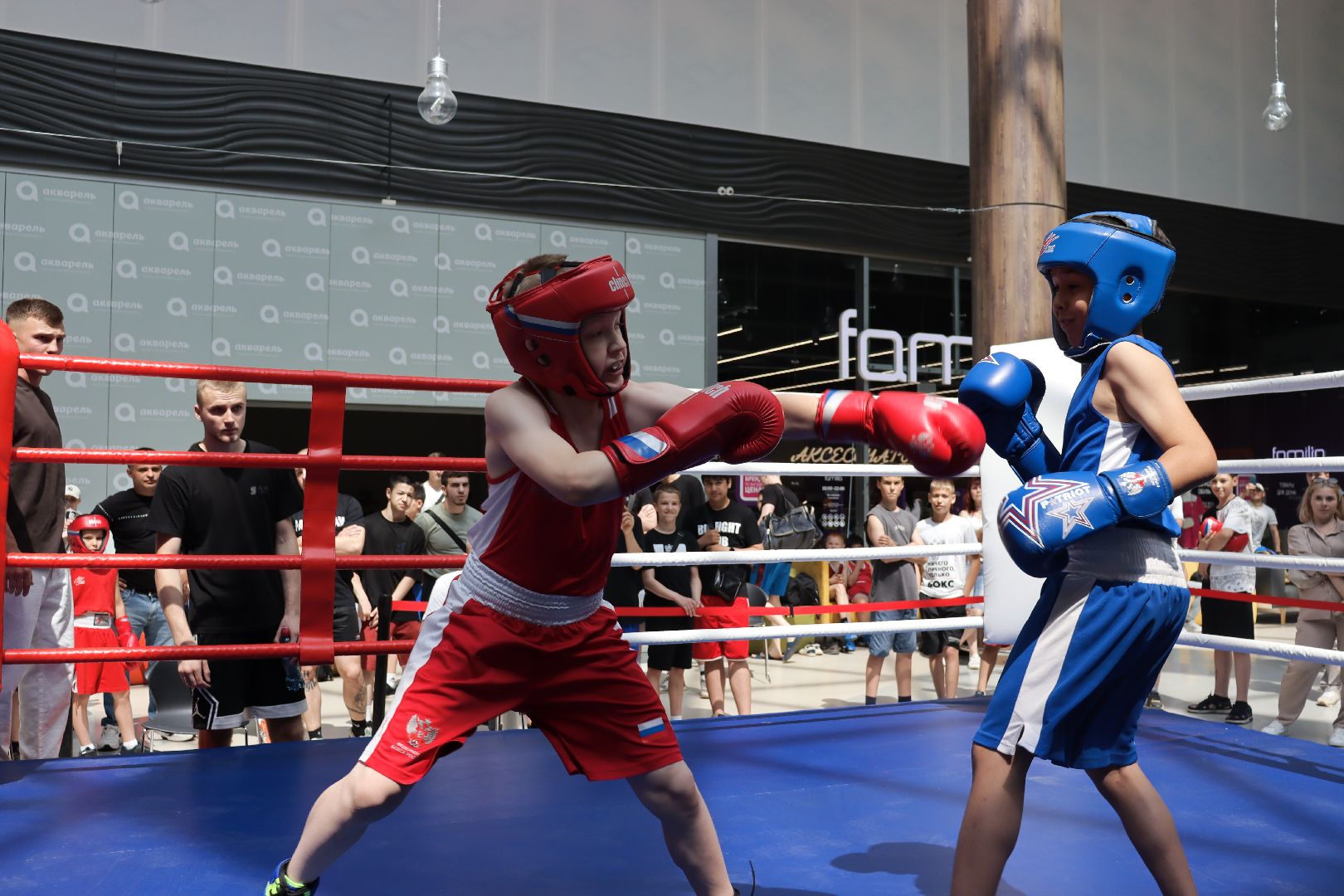 пушкино, бокс, турнир, спорт, соревнование,