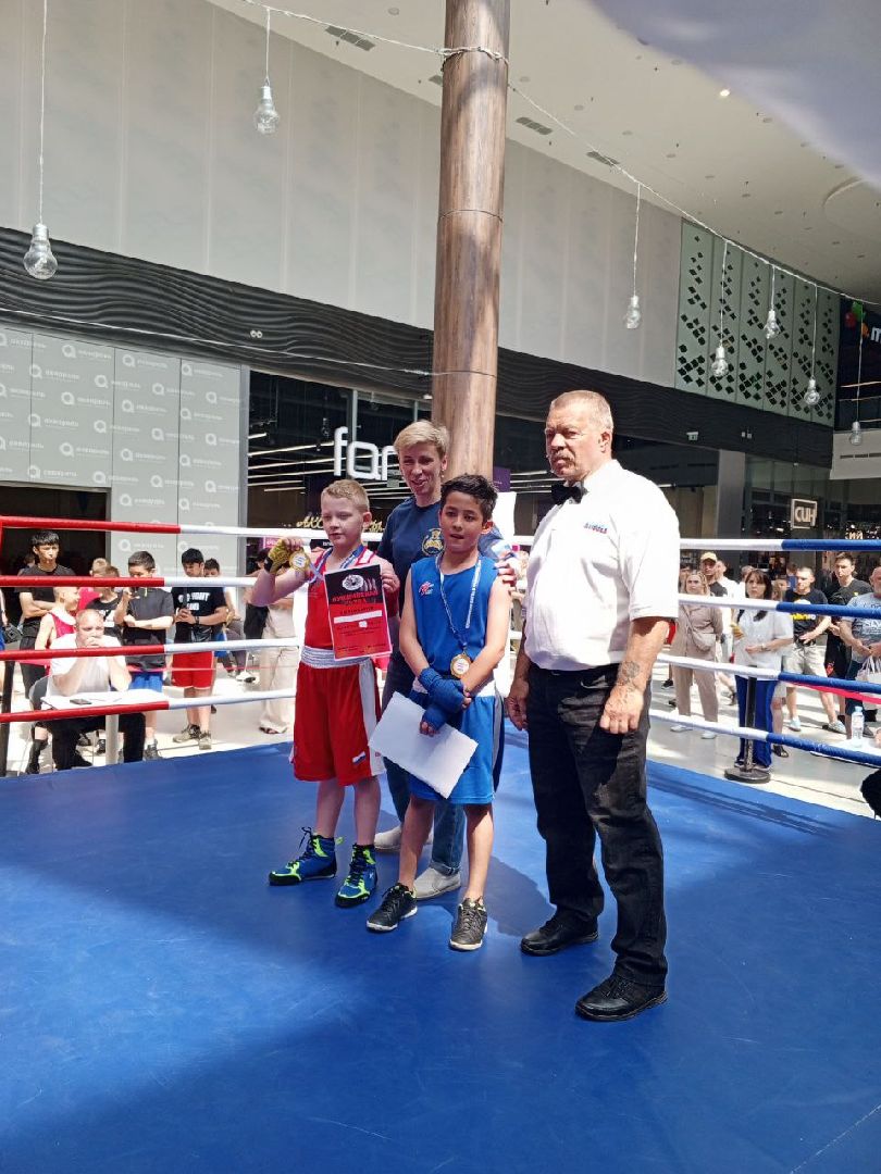 пушкино, бокс, турнир, спорт, соревнование,