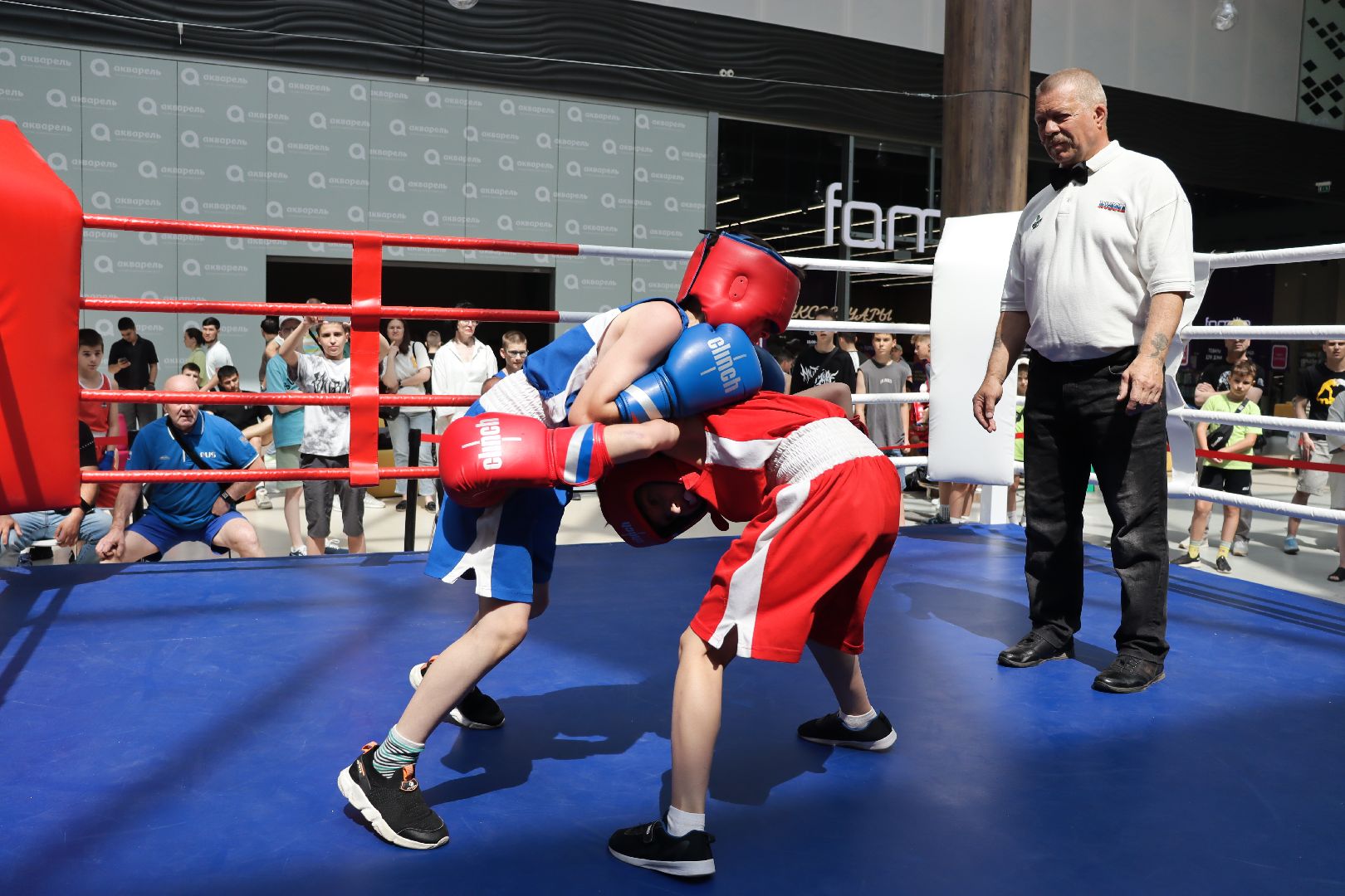 пушкино, бокс, турнир, спорт, соревнование,