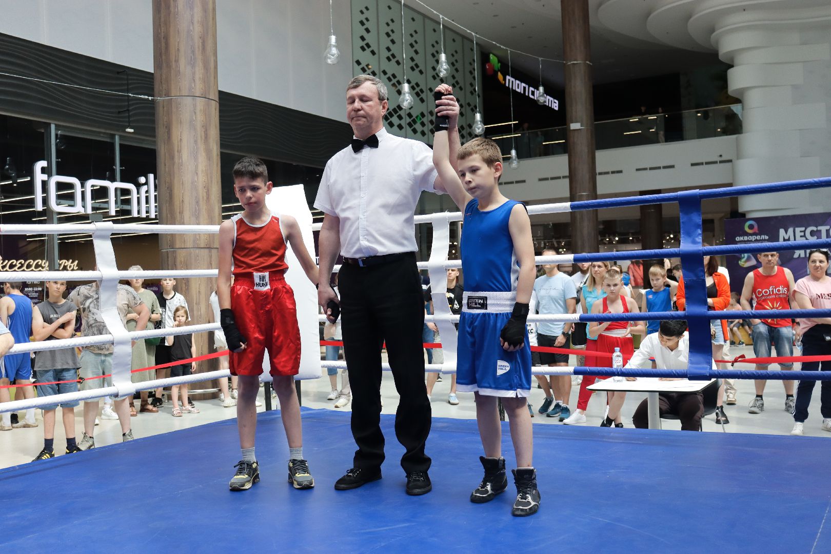 пушкино, бокс, турнир, спорт, соревнование,
