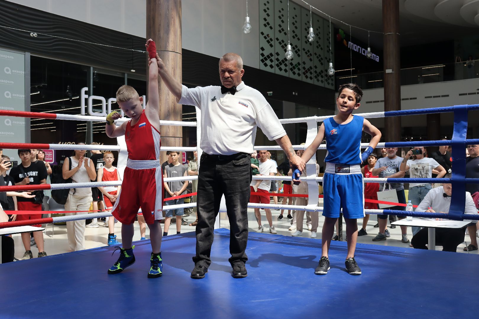 пушкино, бокс, турнир, спорт, соревнование,