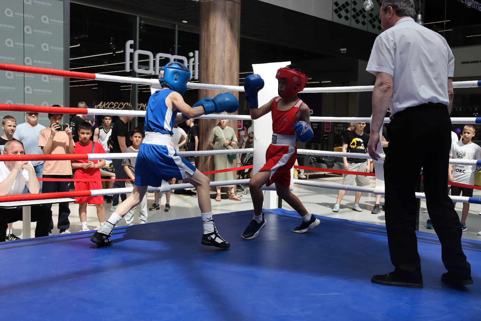 пушкино, бокс, турнир, спорт, соревнование,