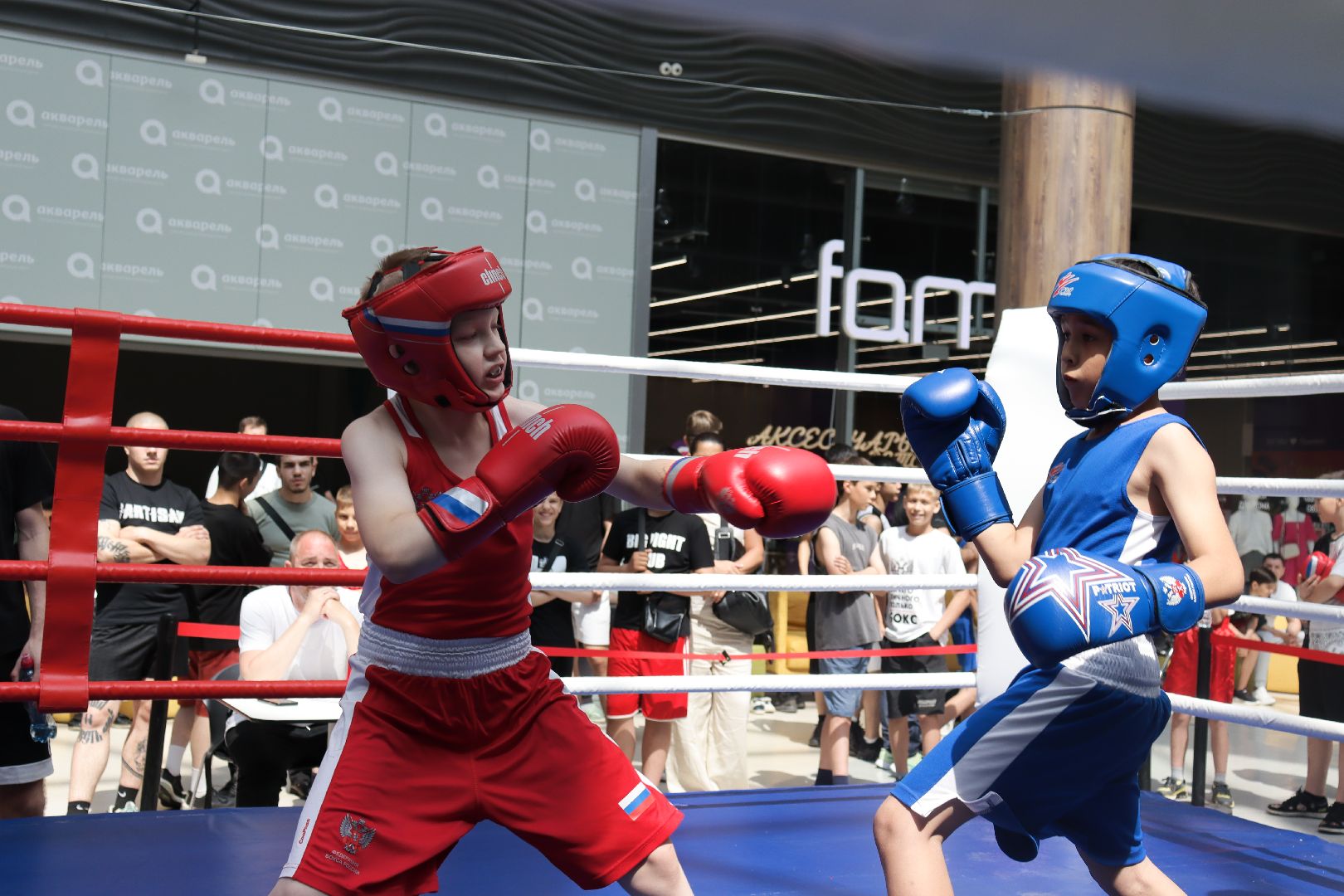 пушкино, бокс, турнир, спорт, соревнование,
