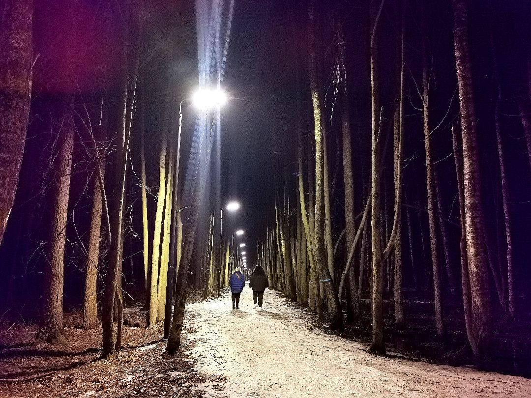 #Подольск #Дубрава