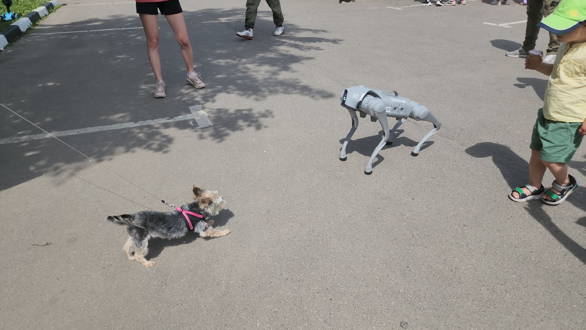 долгопрудный, мфти, роботы,роботы-футболисты, робособака, алгоритм,