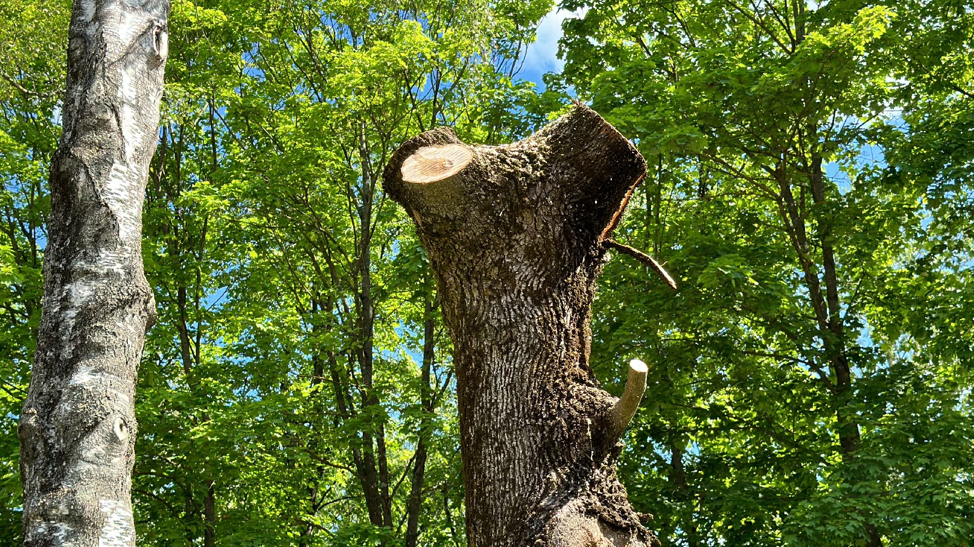 Клин, общество, ЖКХ, благоустройство,