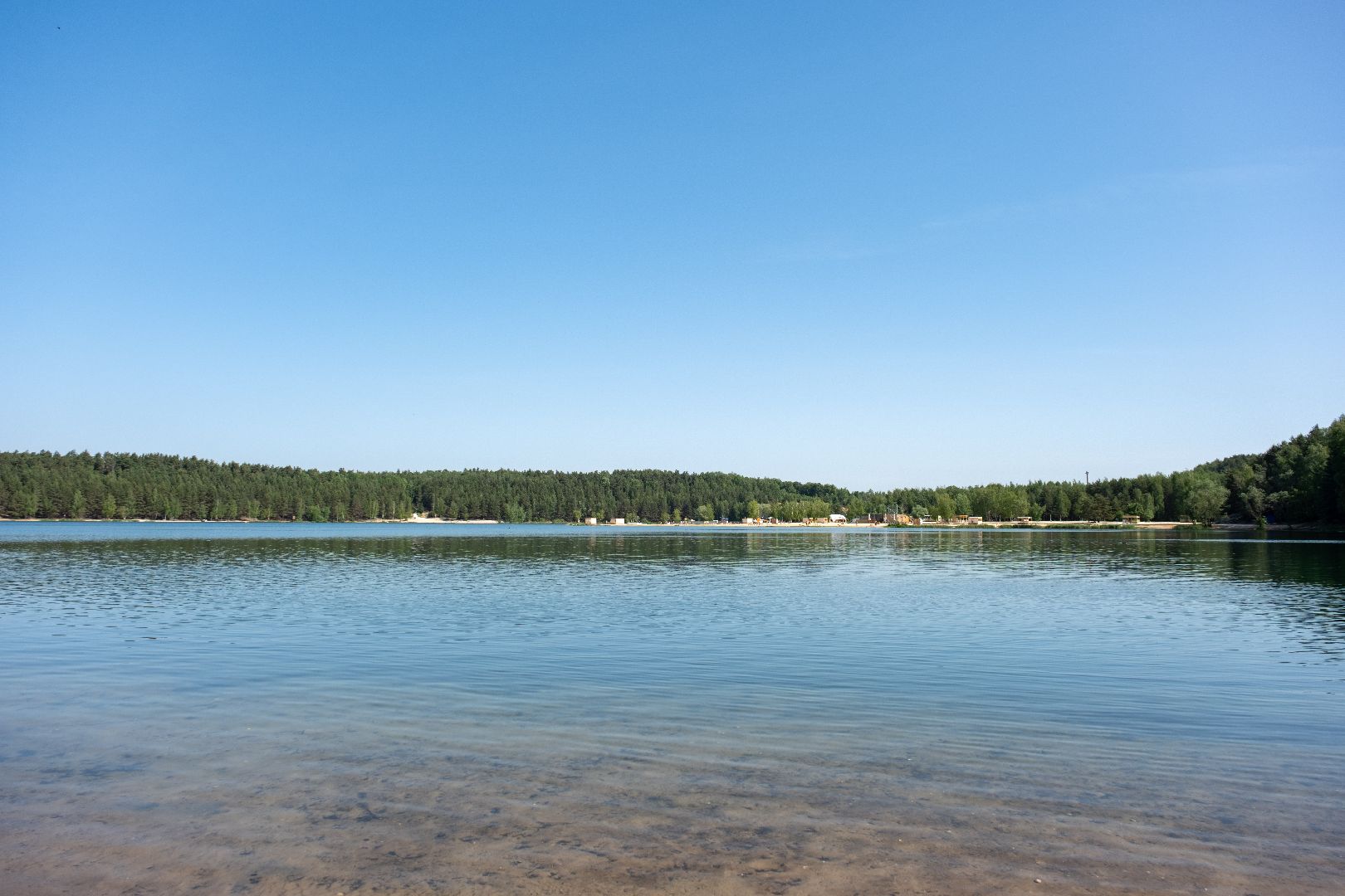 лыткарино, общество, экология, вода россии, волкуша, лесопарк, уборка, нацпроект,