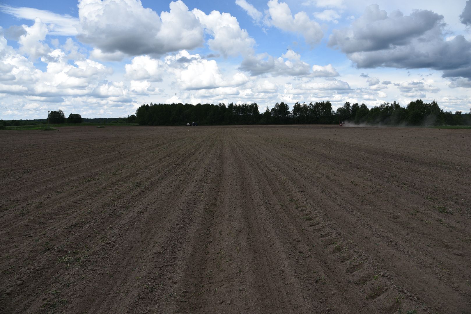 лотошино, посевная 2024, сельское хозяйство, трактор,