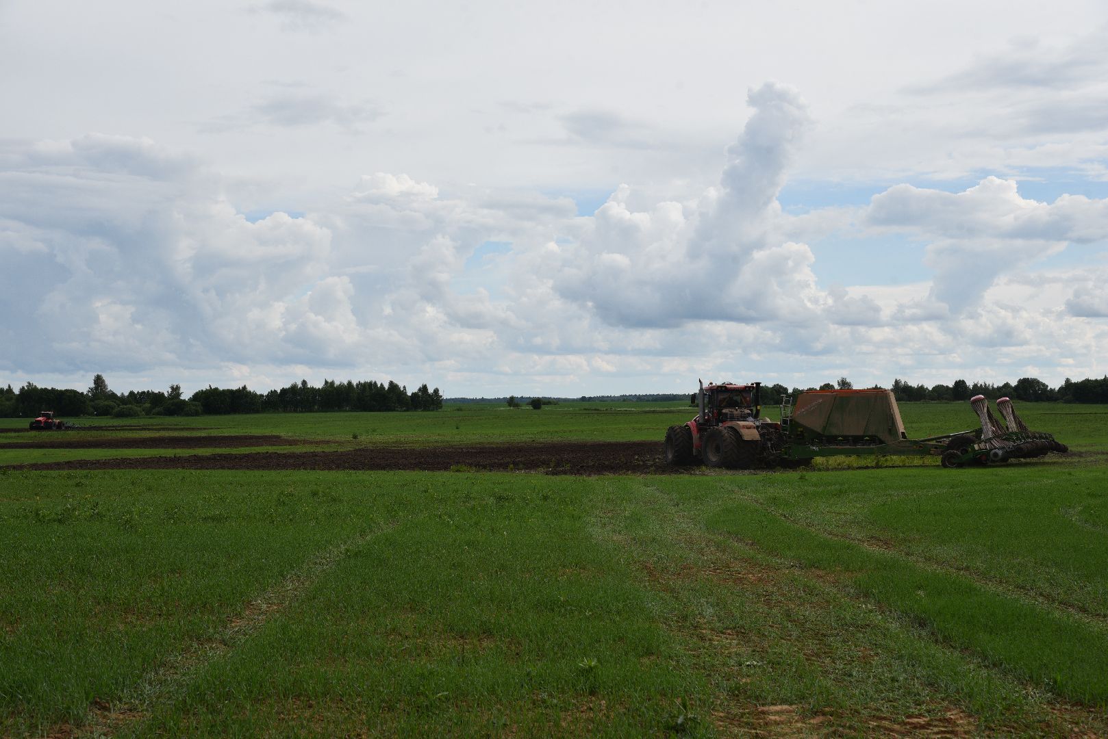 лотошино, посевная 2024, сельское хозяйство, трактор,