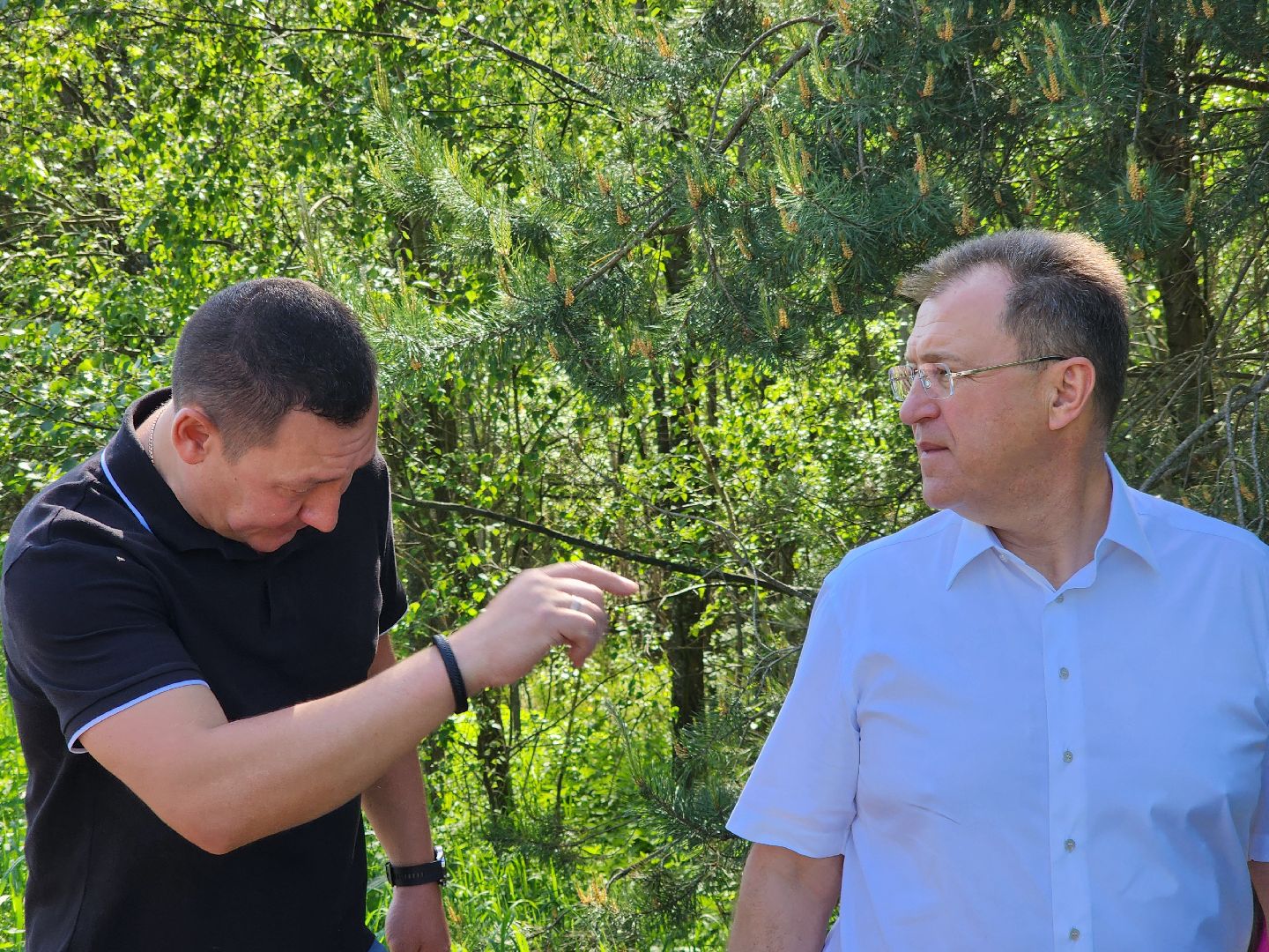 ногинск, наводнение, паводки, снт, дороги, глава округа, богородский городский округ,