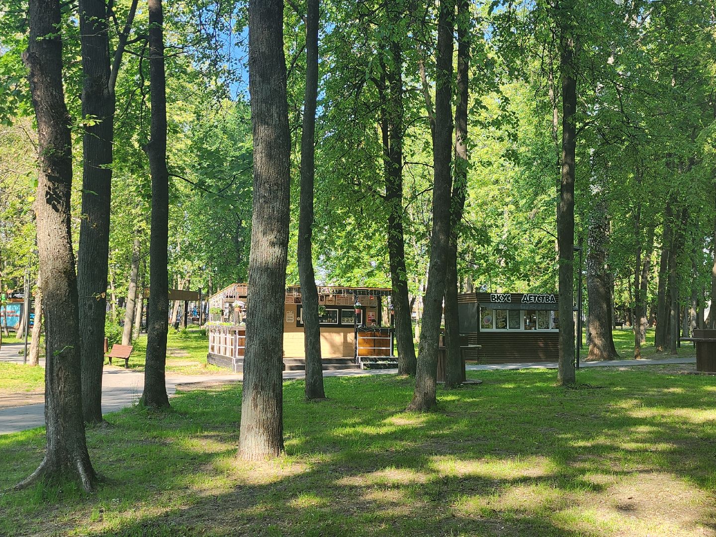 серпухов, подмосковье, парк имени олега степанова,