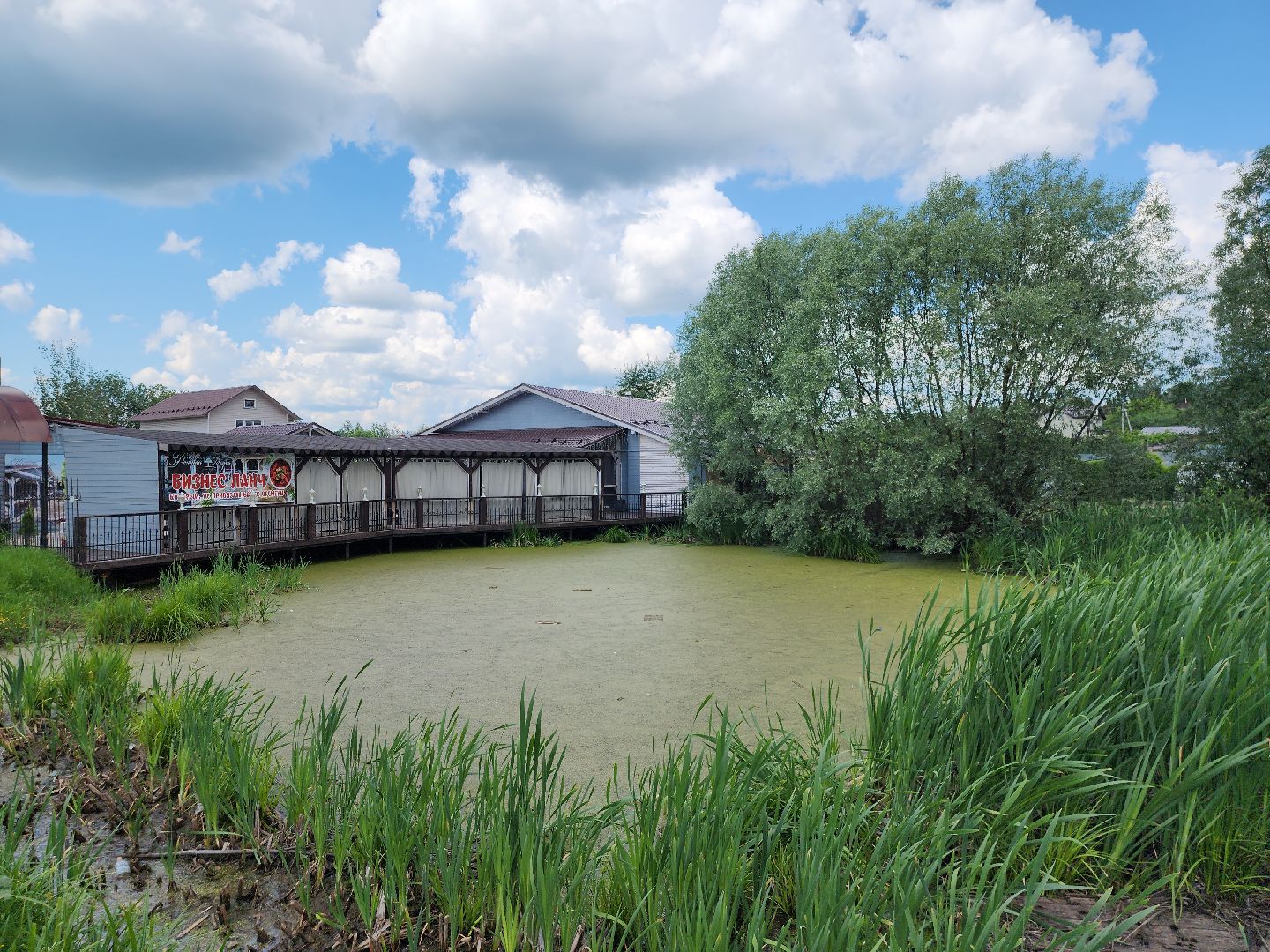Туризм, туризм в рузе, туризм в подмосковье, лето в подмосковье, Лето в рузе, летняя веранда, руза,
