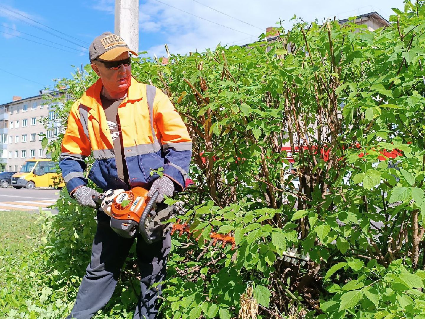 План добрых дел, Шатура, Большая Шатура, благоустройство, деревья,