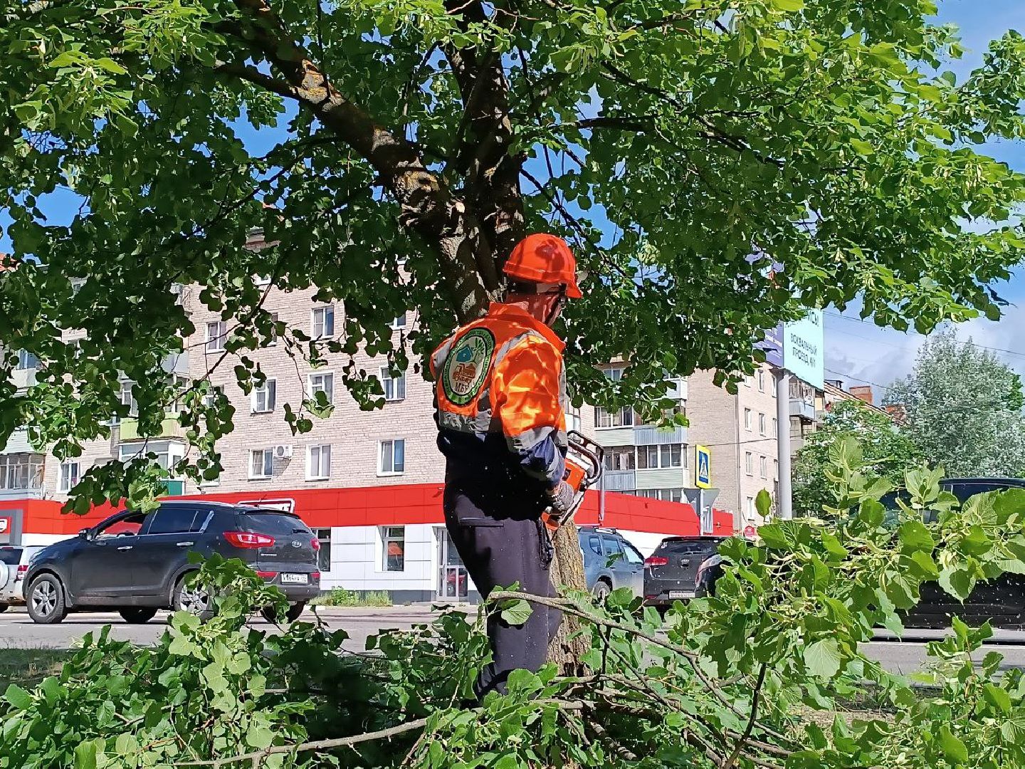 План добрых дел, Шатура, Большая Шатура, благоустройство, деревья,