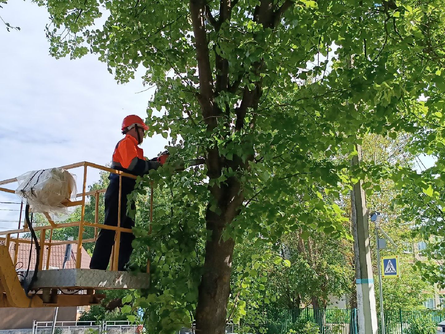 План добрых дел, Шатура, Большая Шатура, благоустройство, деревья,