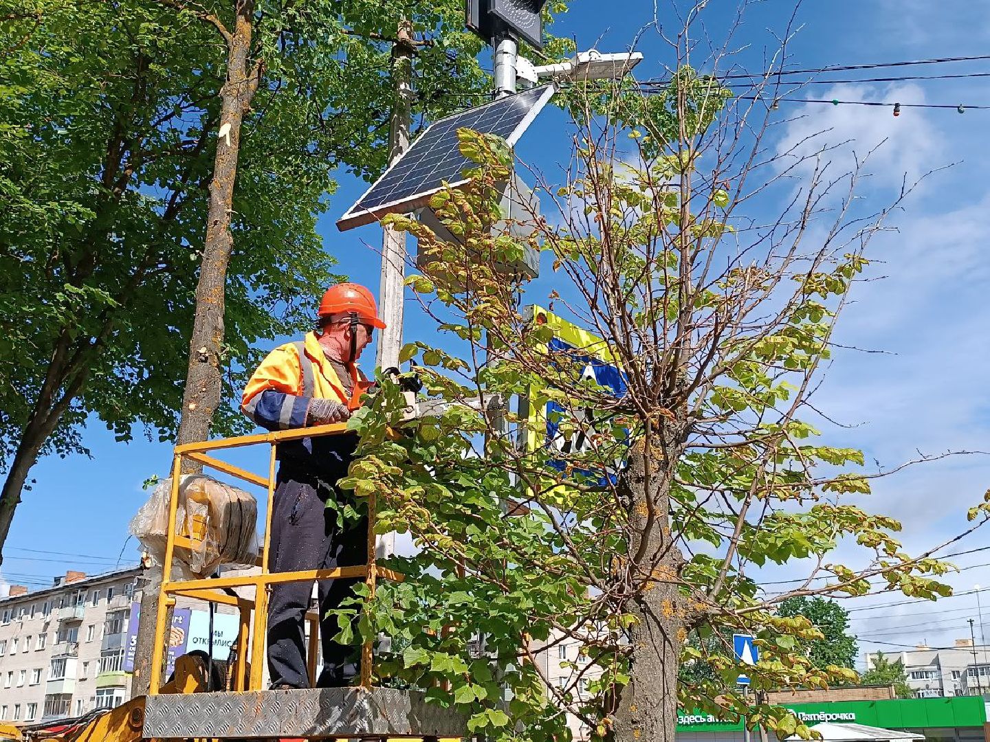 План добрых дел, Шатура, Большая Шатура, благоустройство, деревья,