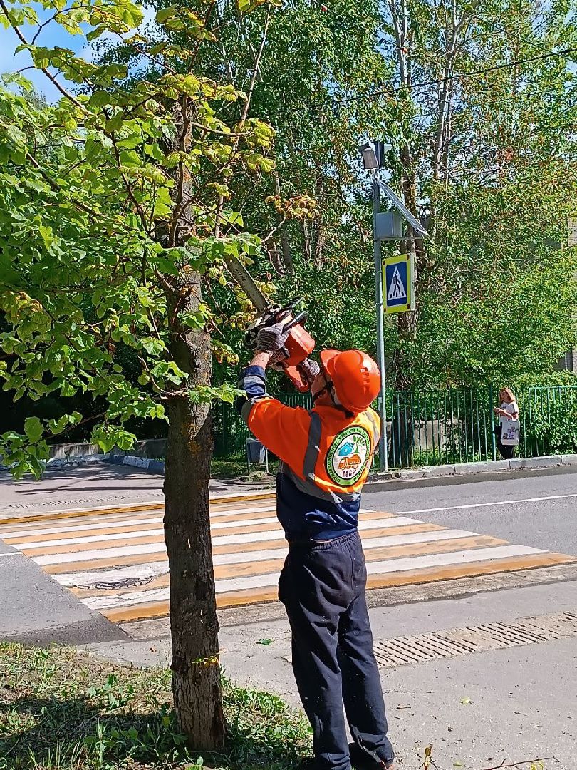 План добрых дел, Шатура, Большая Шатура, благоустройство, деревья,