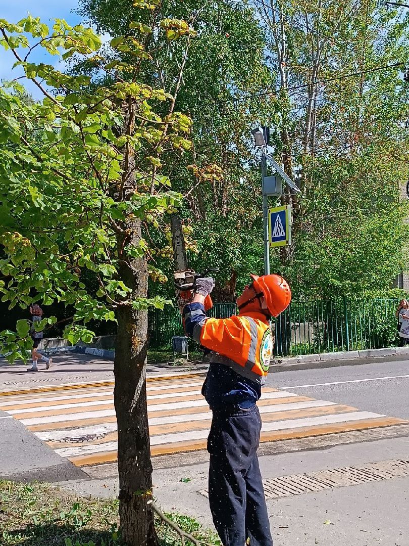 План добрых дел, Шатура, Большая Шатура, благоустройство, деревья,