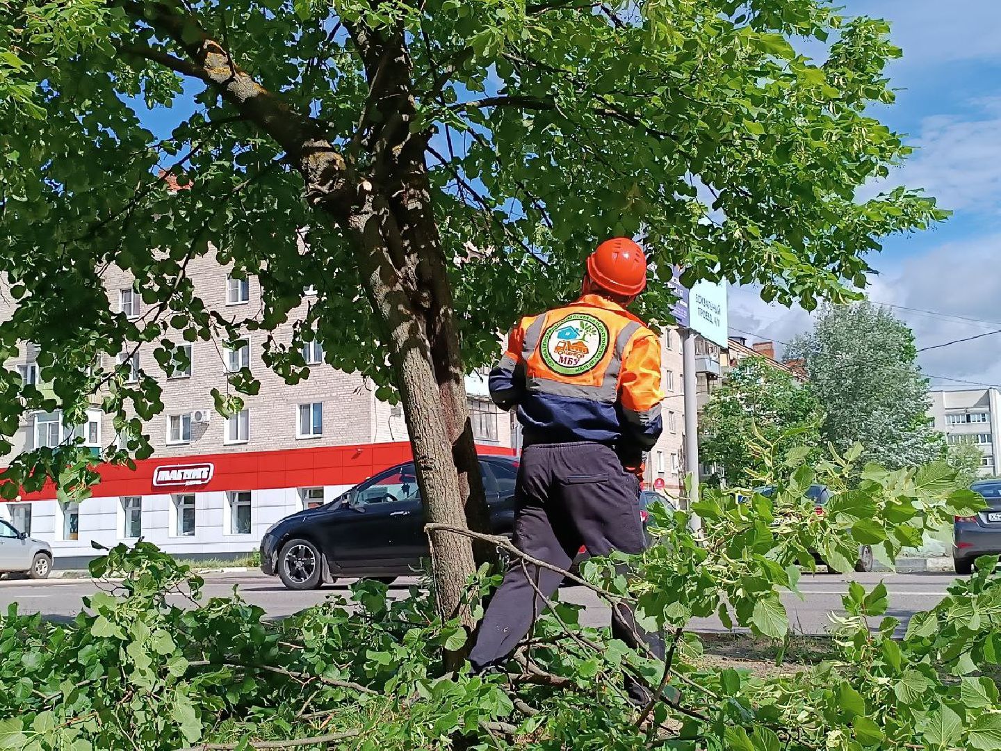 План добрых дел, Шатура, Большая Шатура, благоустройство, деревья,