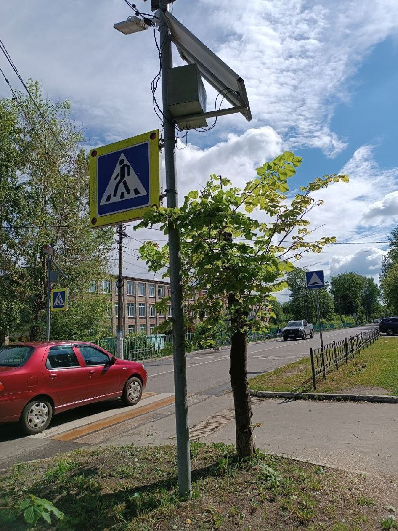 План добрых дел, Шатура, Большая Шатура, благоустройство, деревья,