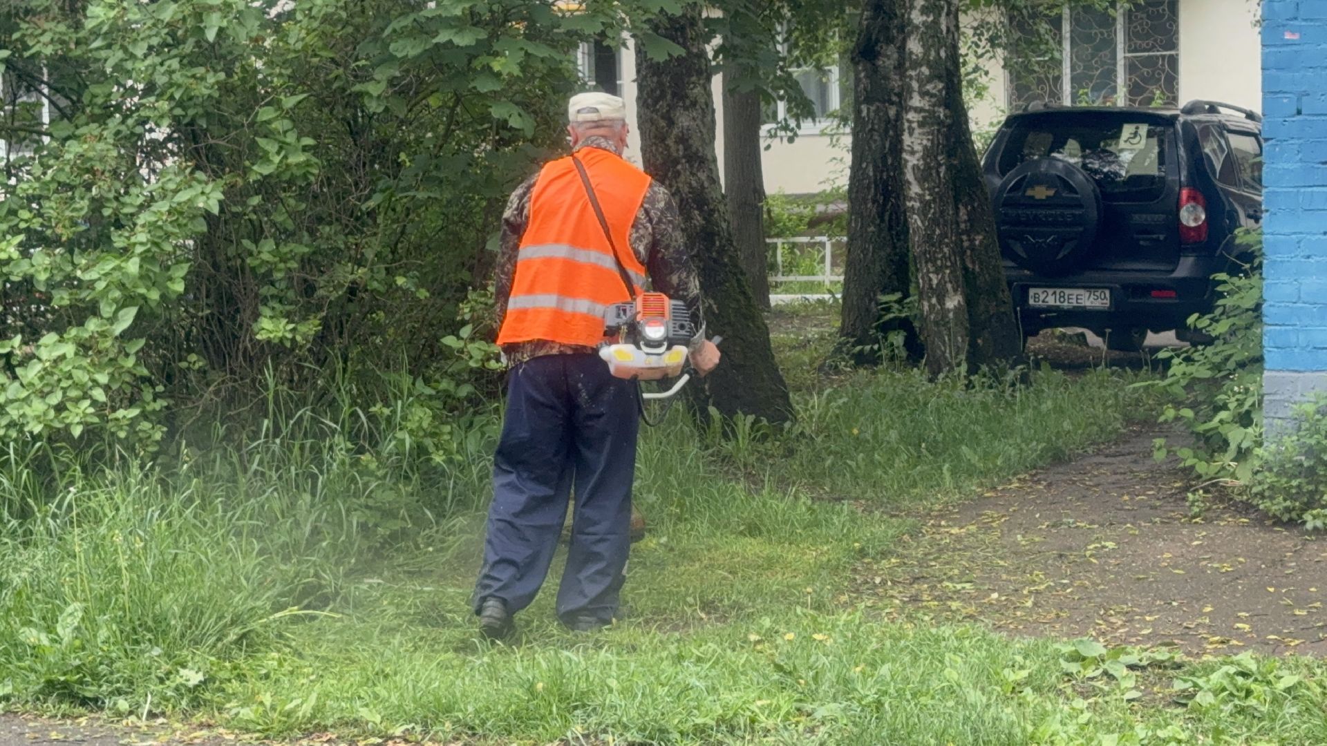 Солнечногорск, благоустройство, уборка дворов, покос травы, жители,