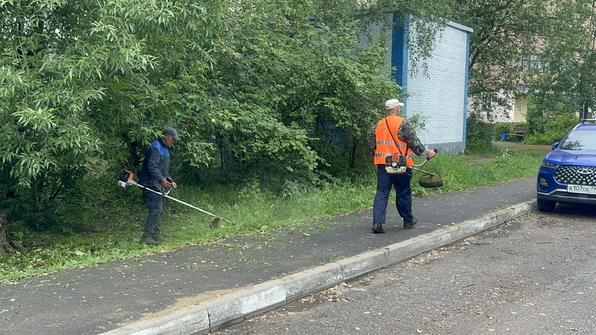 Солнечногорск, благоустройство, уборка дворов, покос травы, жители,