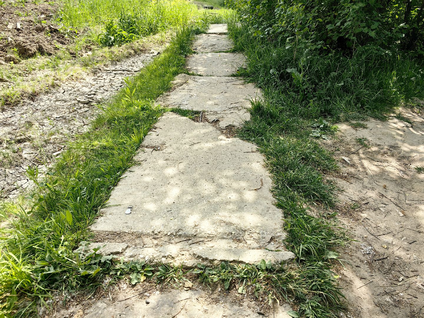 выездная администрация, жалобы жителей, стоянка, мусор, ремонт дороги, щёлково,