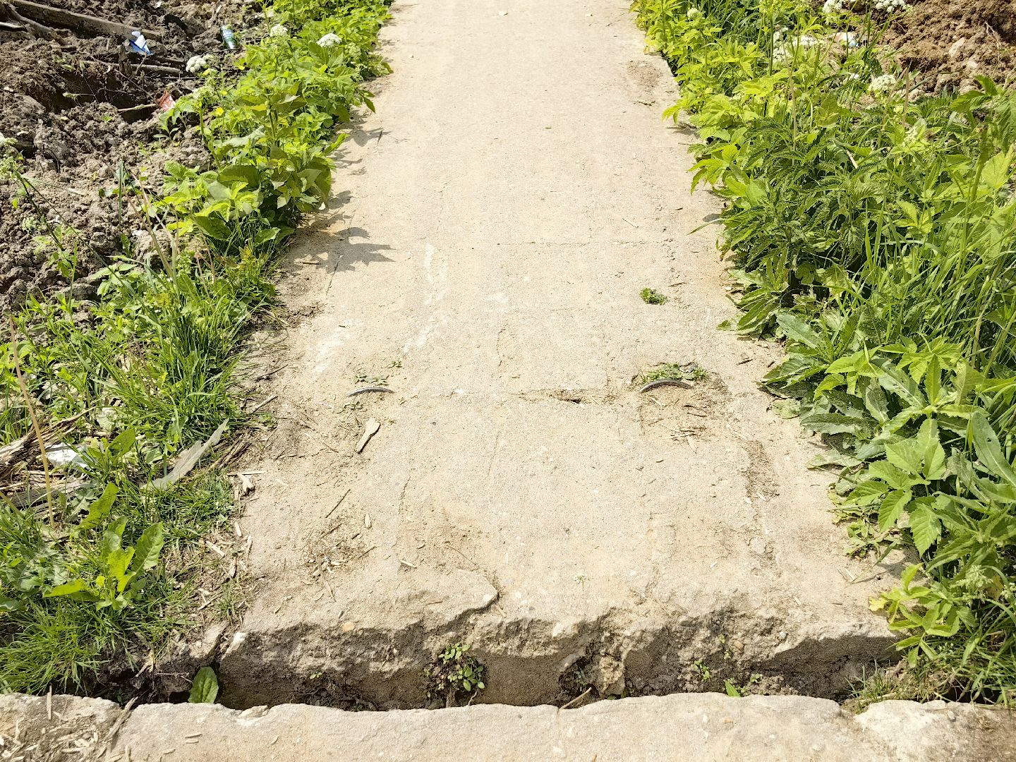 выездная администрация, жалобы жителей, стоянка, мусор, ремонт дороги, щёлково,