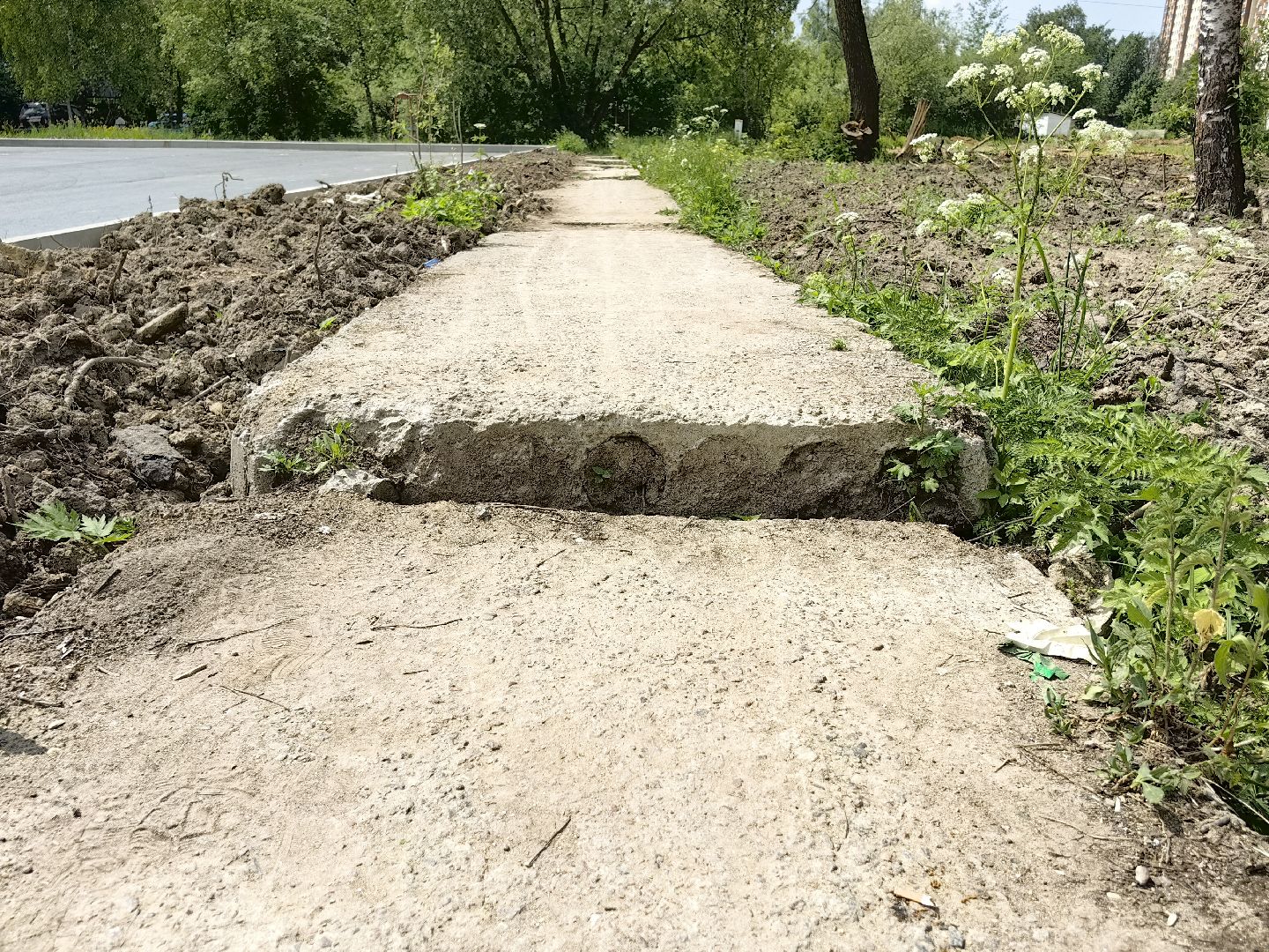 выездная администрация, жалобы жителей, стоянка, мусор, ремонт дороги, щёлково,