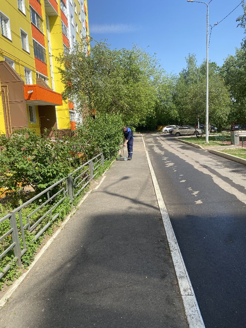 Власиха Солнечная, обход территории, озеленение двора, посадка деревьев, детская игровая площадка, власиха благоустройство,