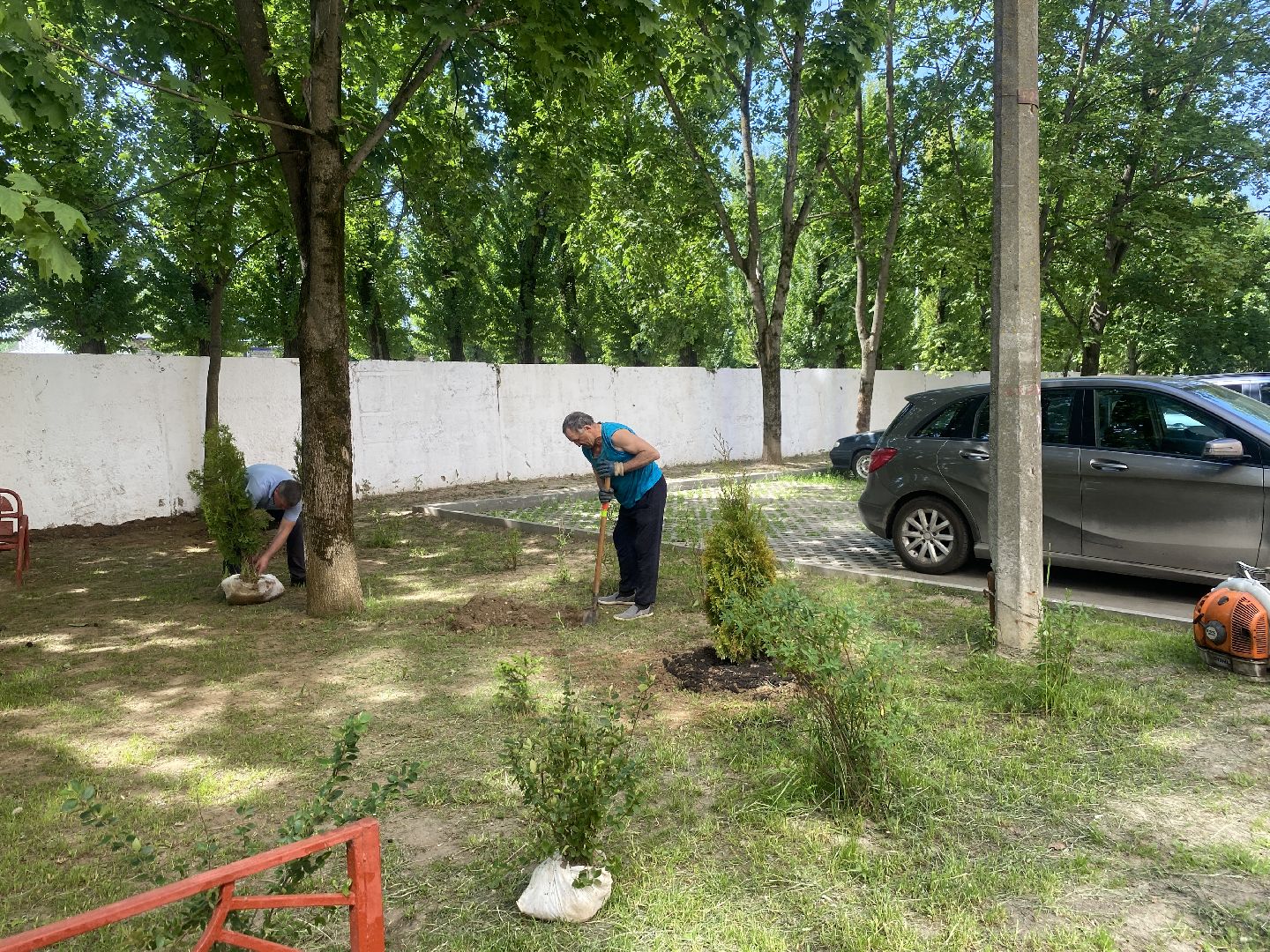 Власиха Солнечная, обход территории, озеленение двора, посадка деревьев, детская игровая площадка, власиха благоустройство,