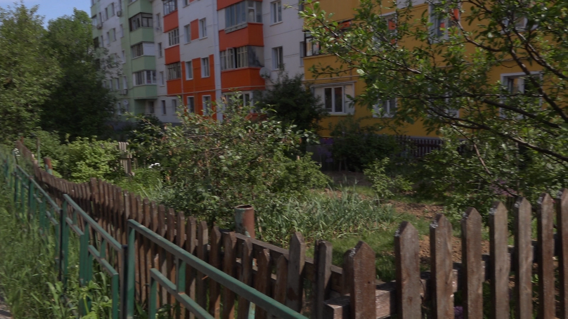 Власиха Солнечная, обход территории, озеленение двора, посадка деревьев, детская игровая площадка, власиха благоустройство,