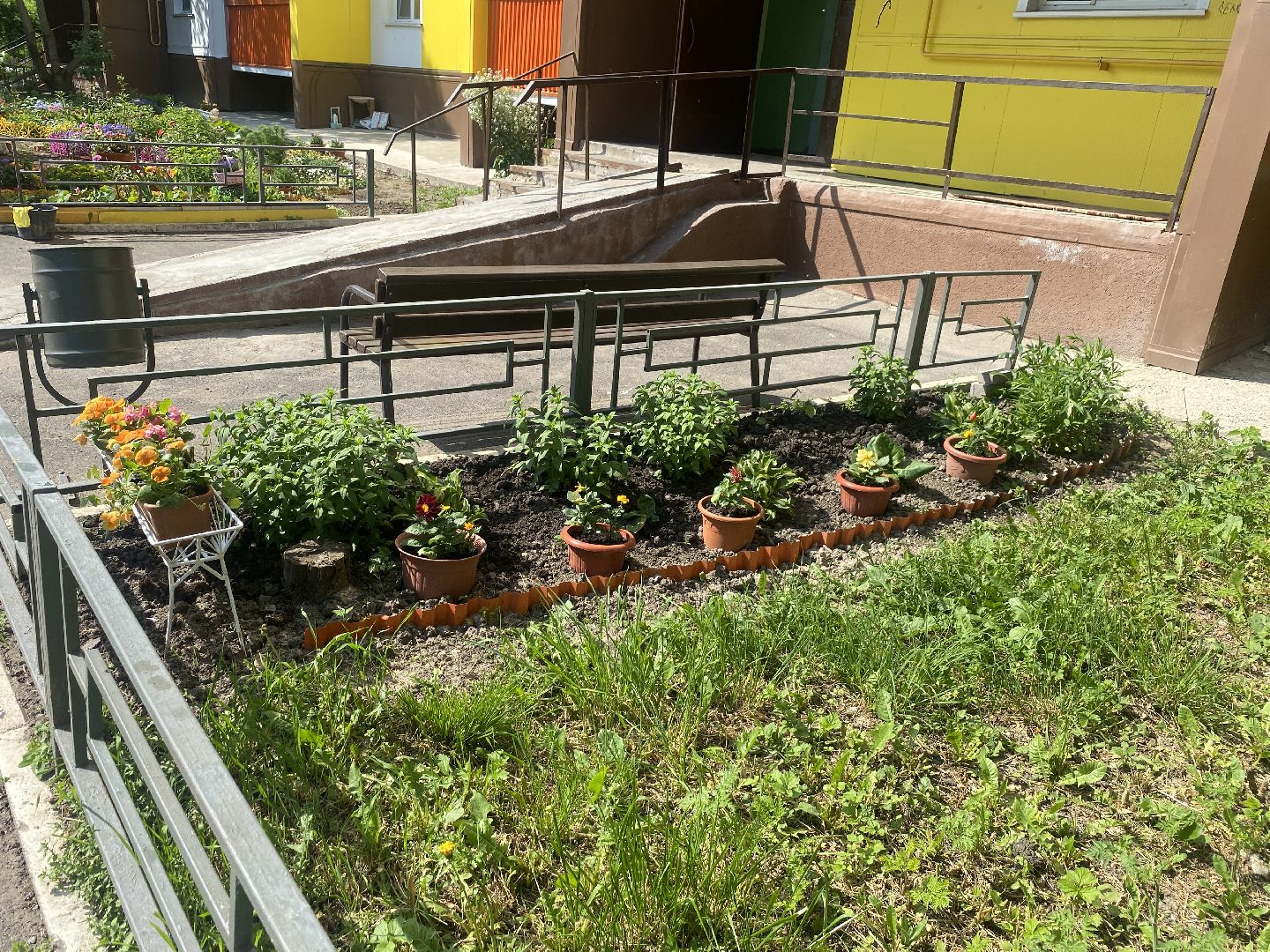 Власиха Солнечная, обход территории, озеленение двора, посадка деревьев, детская игровая площадка, власиха благоустройство,