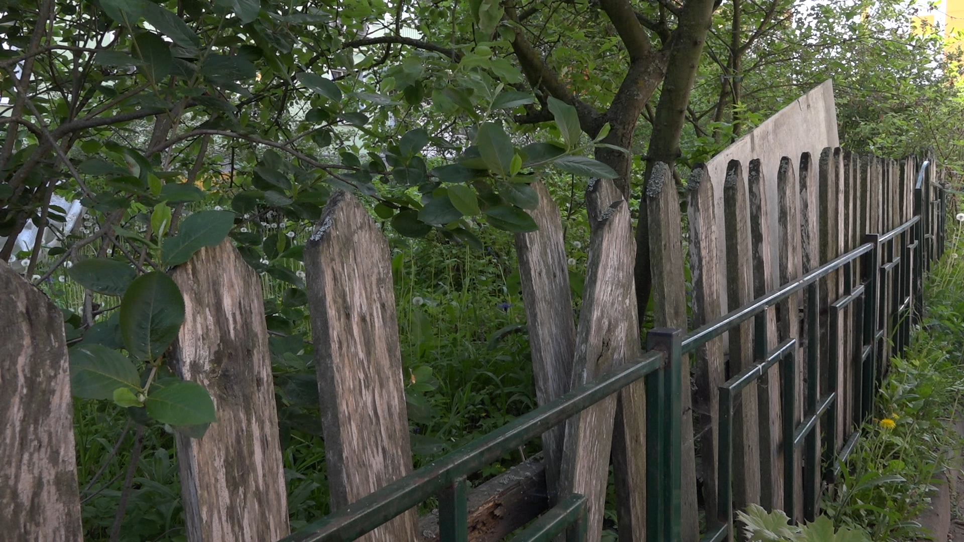 Власиха Солнечная, обход территории, озеленение двора, посадка деревьев, детская игровая площадка, власиха благоустройство,