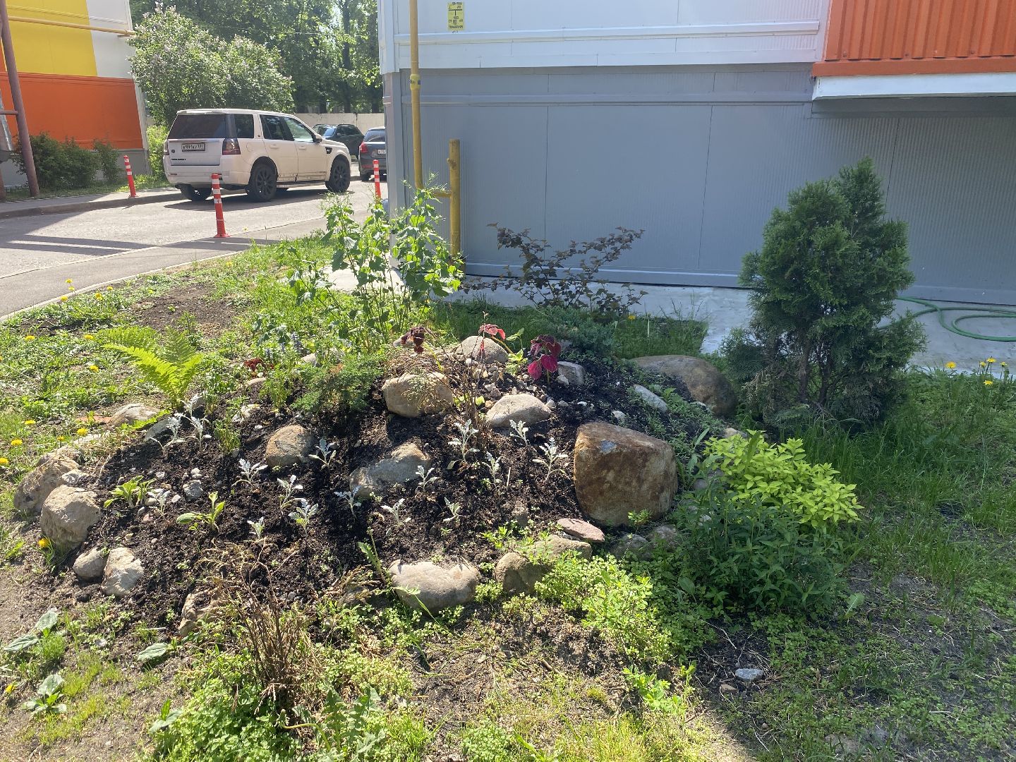 Власиха Солнечная, обход территории, озеленение двора, посадка деревьев, детская игровая площадка, власиха благоустройство,