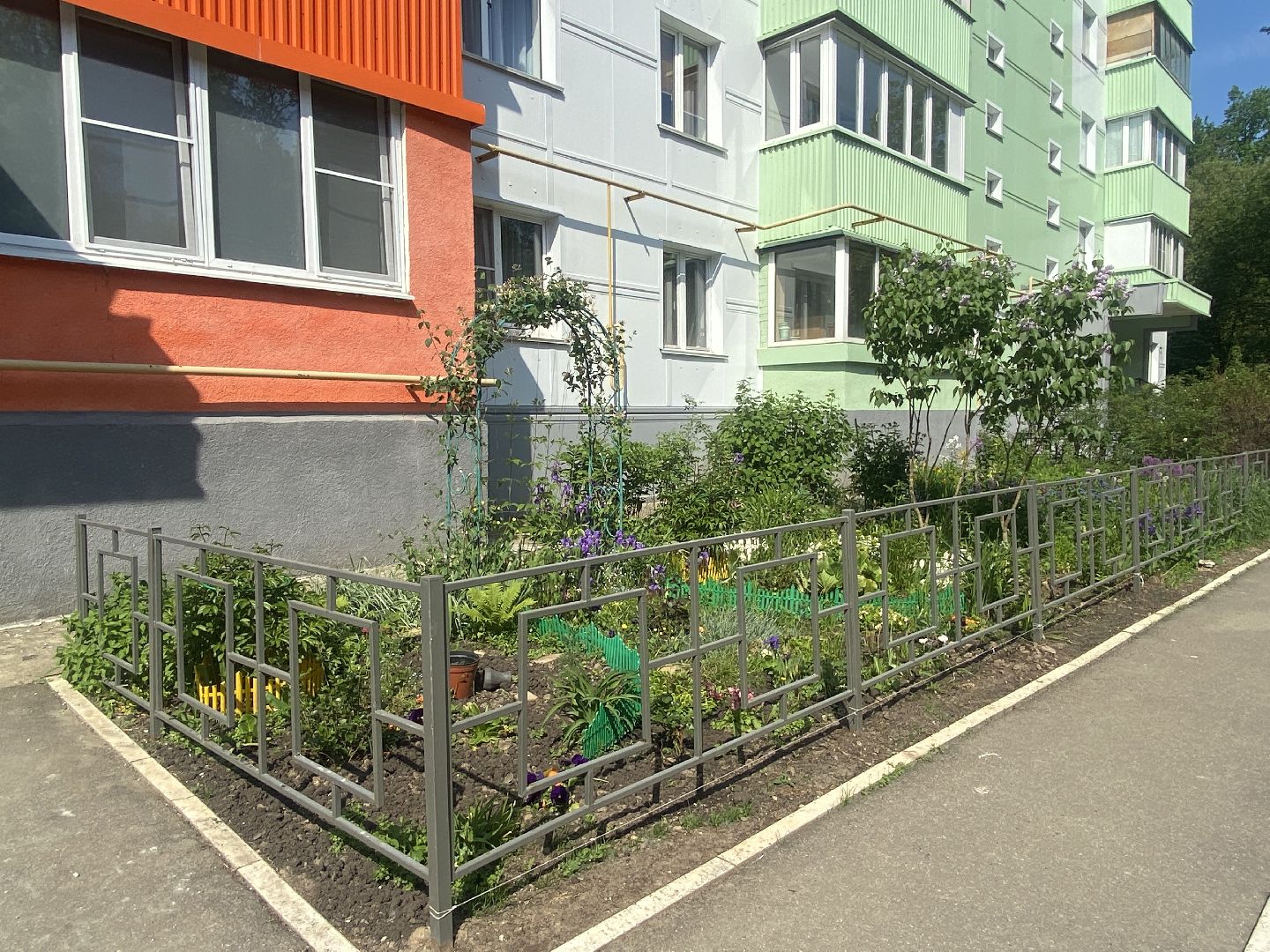 Власиха Солнечная, обход территории, озеленение двора, посадка деревьев, детская игровая площадка, власиха благоустройство,