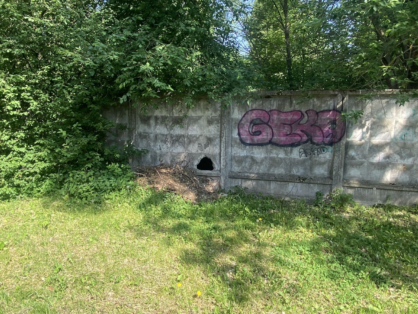 Власиха Солнечная, обход территории, озеленение двора, посадка деревьев, детская игровая площадка, власиха благоустройство,