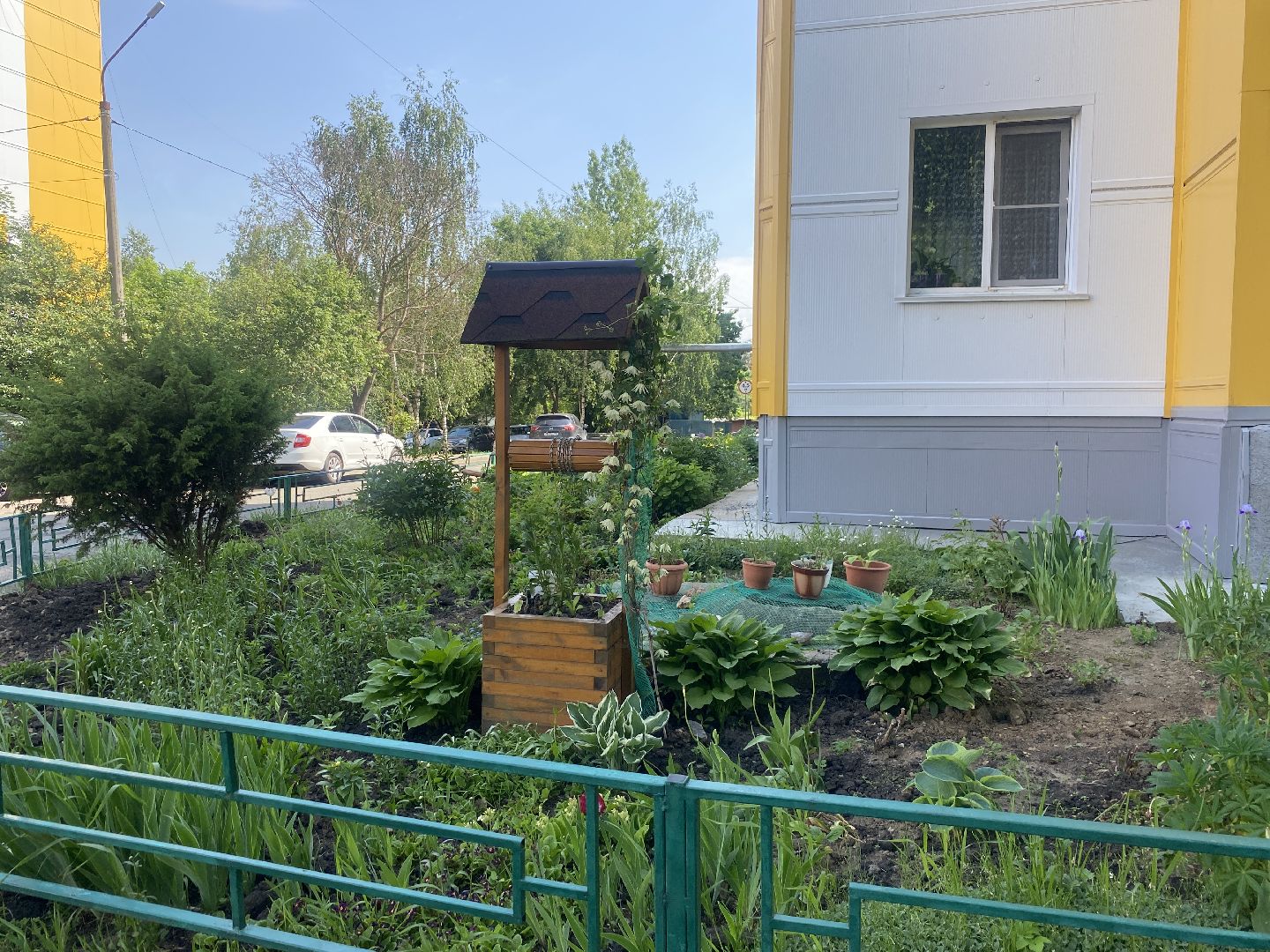 Власиха Солнечная, обход территории, озеленение двора, посадка деревьев, детская игровая площадка, власиха благоустройство,