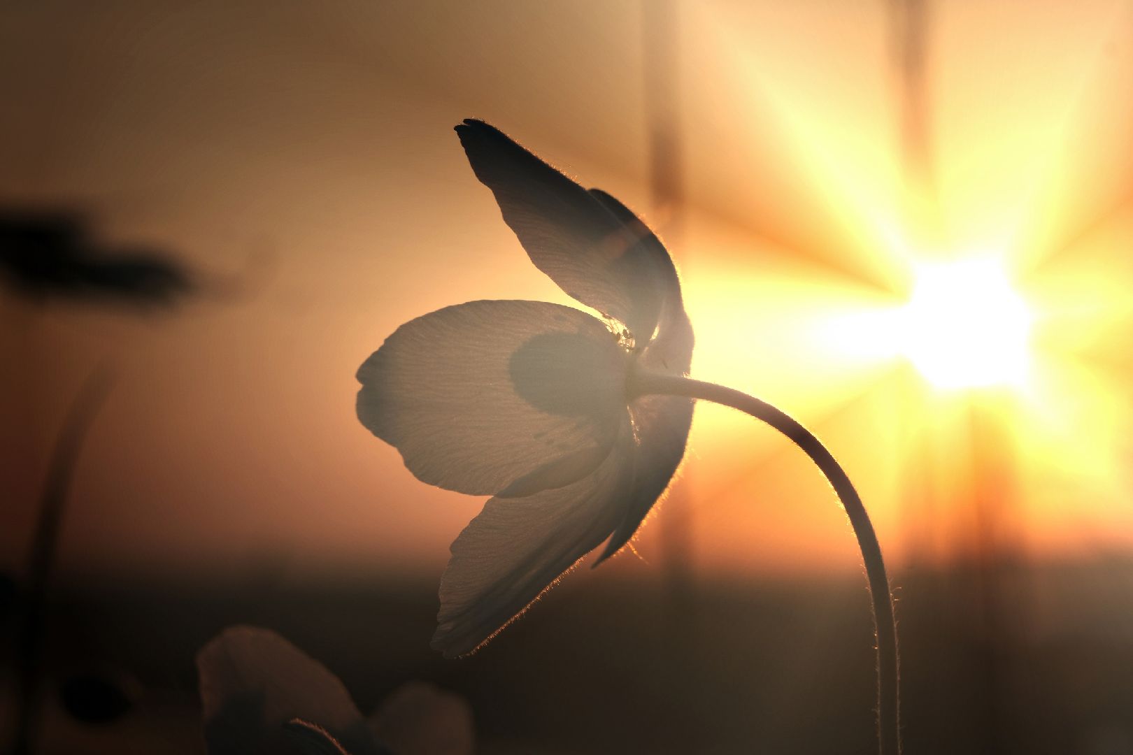 пущино, серпухов, туризм в подмосковье, лето в подмосковье,