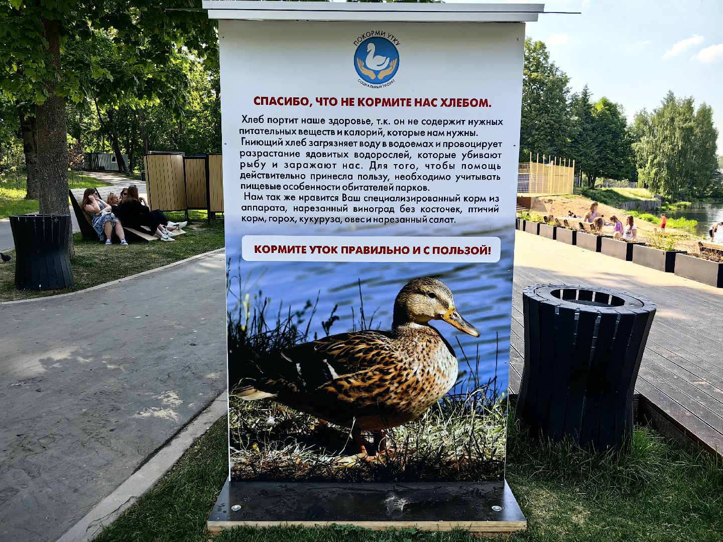 утки, корм для уток, аппарат с кормом, парк, река, щёлково, животные,