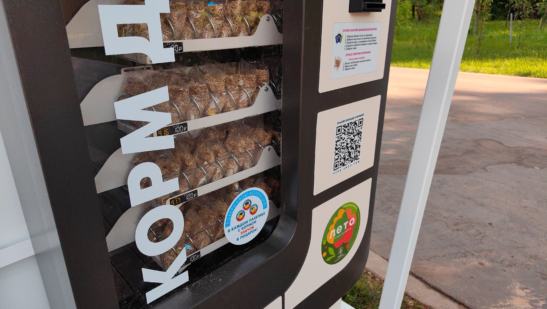 утки, корм для уток, аппарат с кормом, парк, река, щёлково, животные,