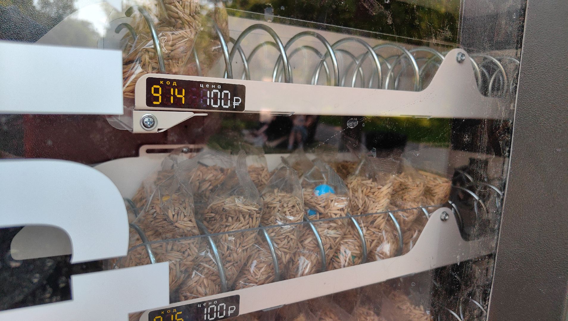 утки, корм для уток, аппарат с кормом, парк, река, щёлково, животные,